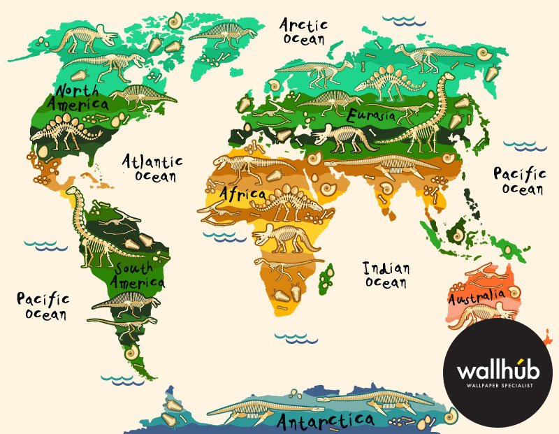 Mural-Wallpaper-World-Map-06