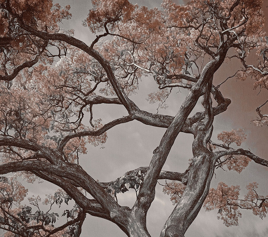 Londonart-25015-02