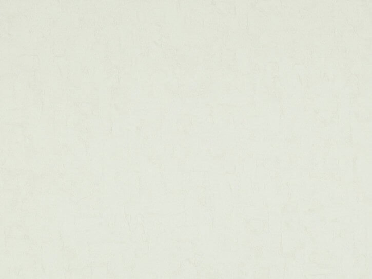 Wallhub BW-VGII-17124