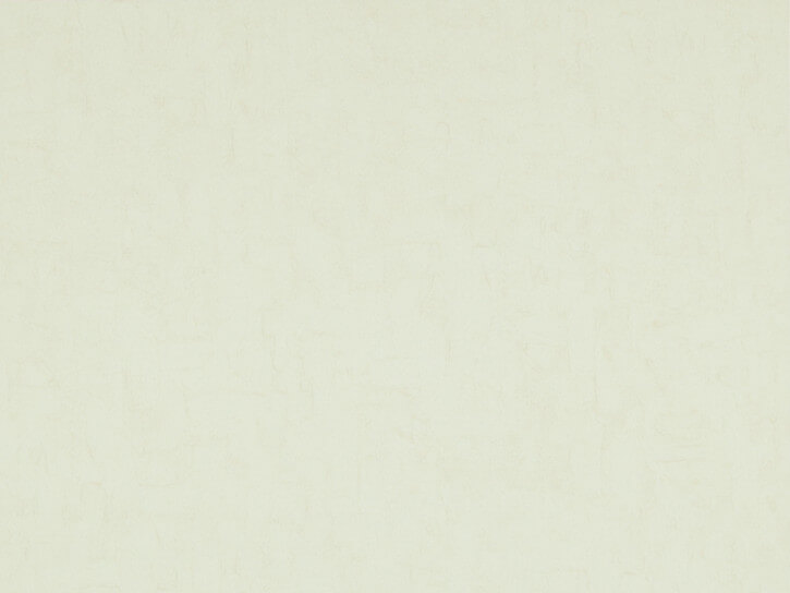 Wallhub BW-VGII-17129