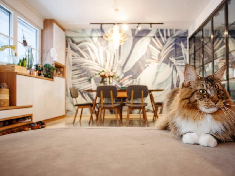 Maintaining & Cleaning Wallpaper: Do's & Don'ts For Longevity