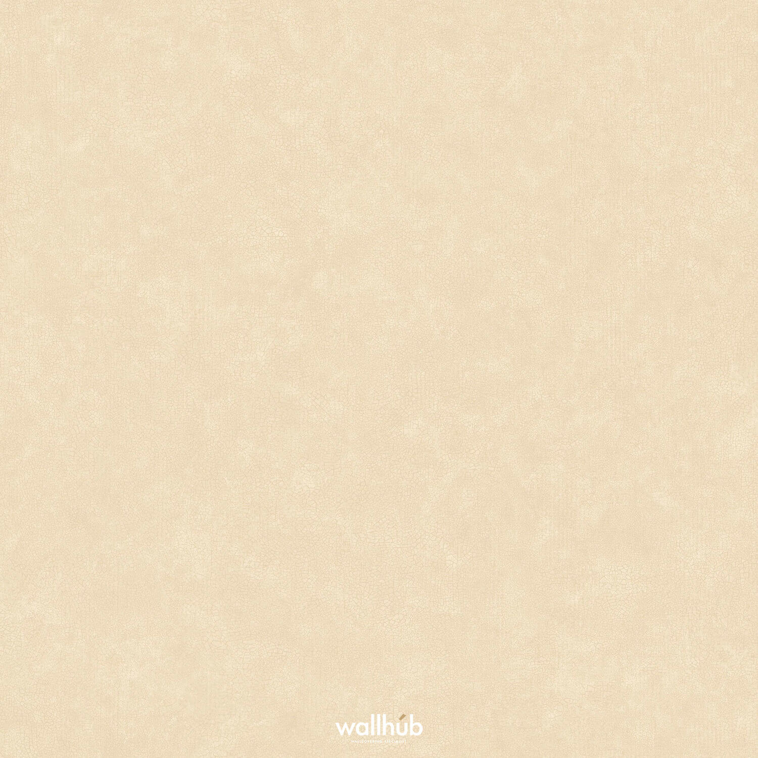 Wallhub Caselio Ceramique_105241110