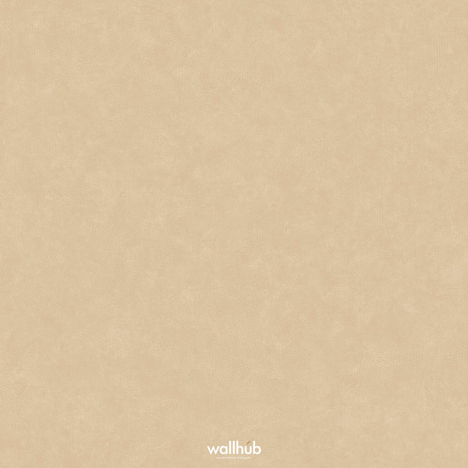 Wallhub Caselio Ceramique_105241223