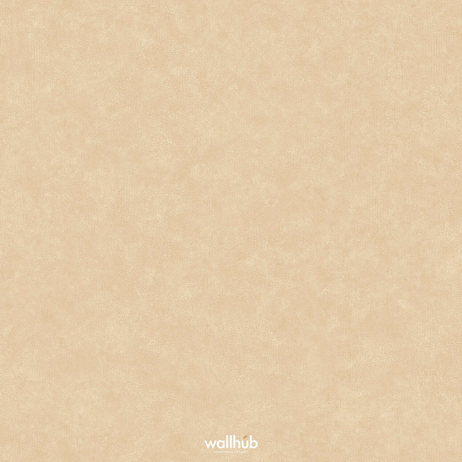 Wallhub Caselio Ceramique_105241515
