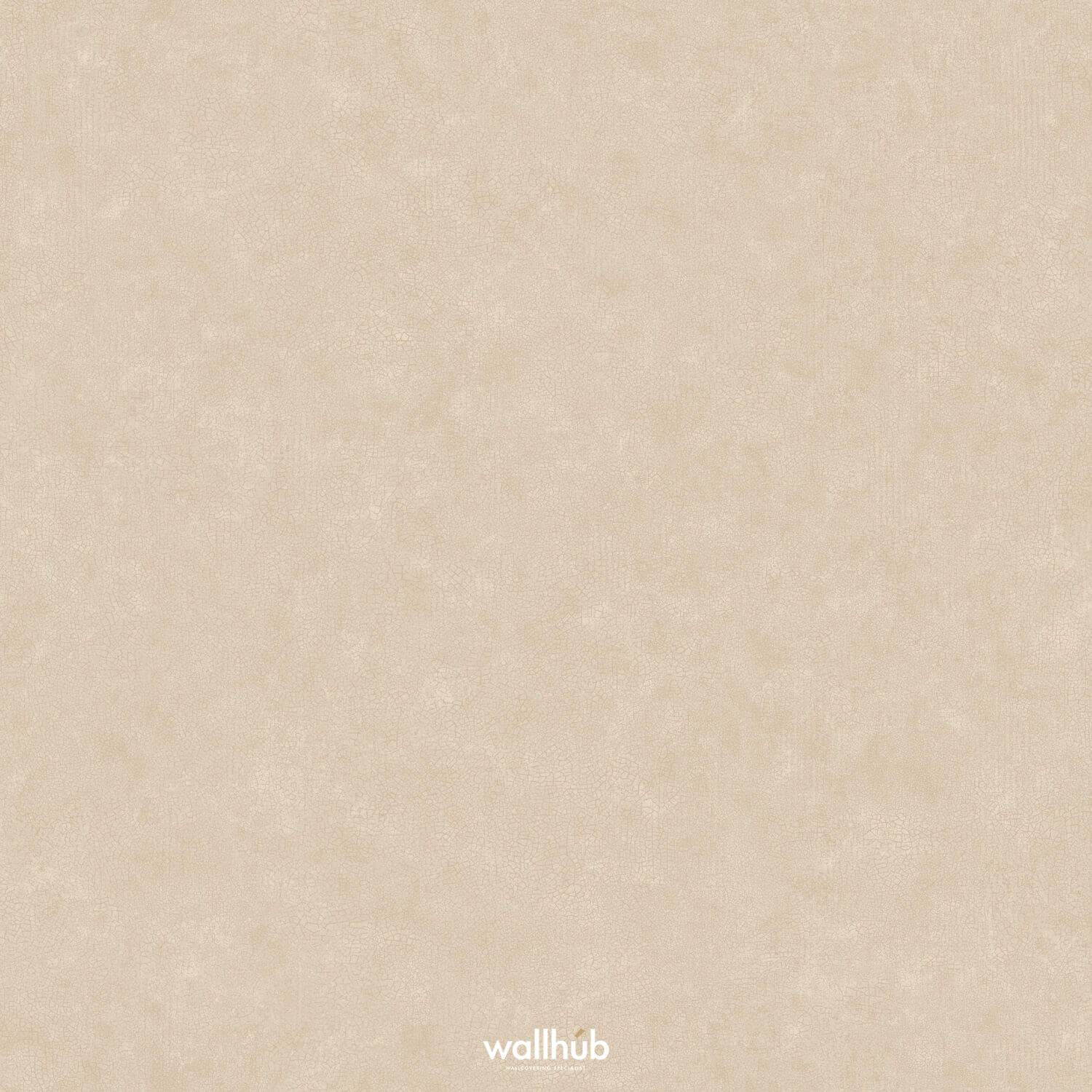 Wallhub Caselio Ceramique_105241844