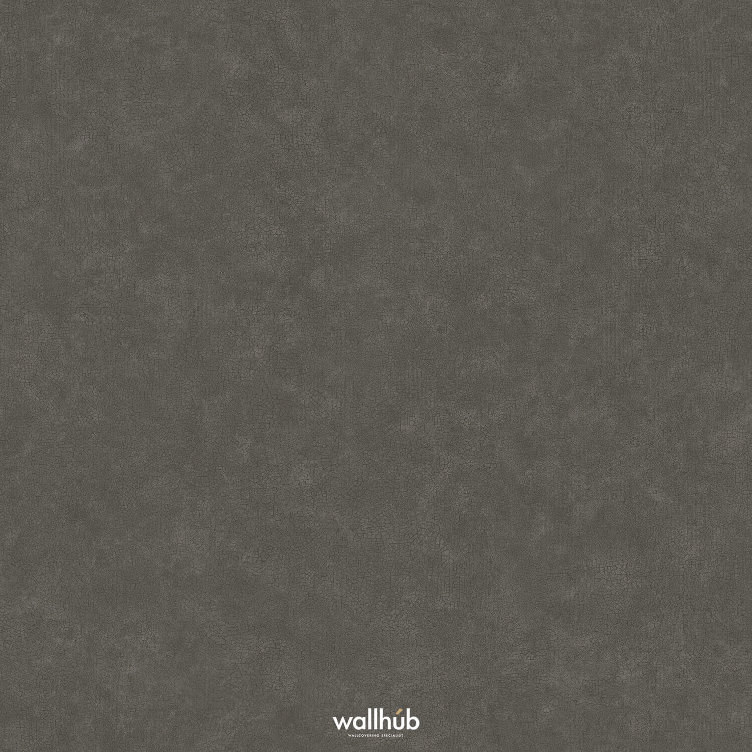 Wallhub Caselio Ceramique_105242429