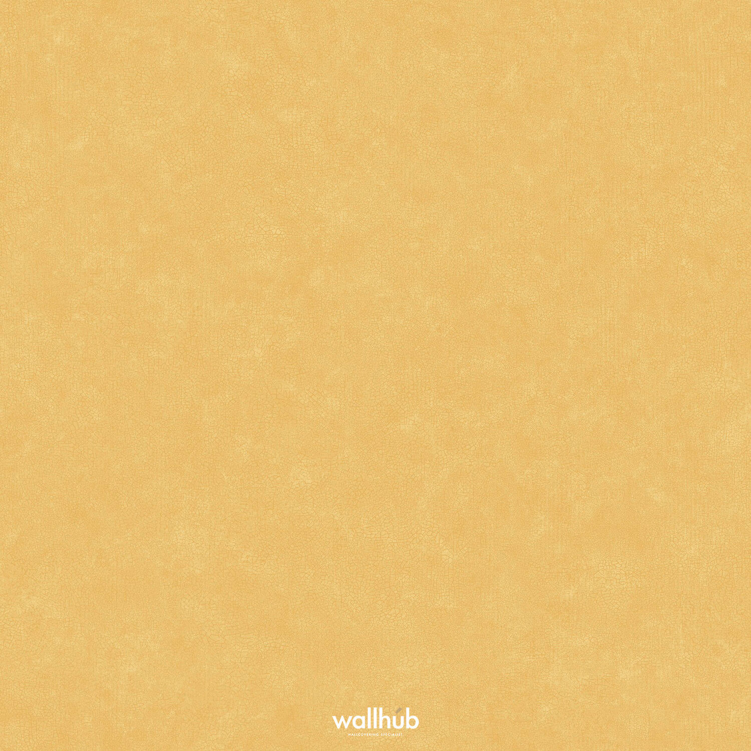 Wallhub Caselio Ceramique_105242570