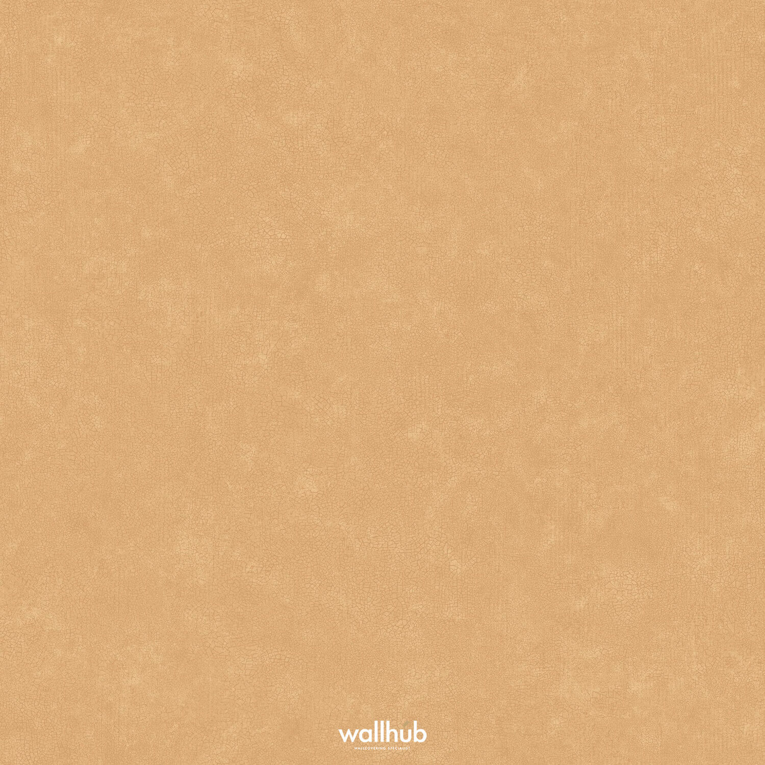 Wallhub Caselio Ceramique_105243000