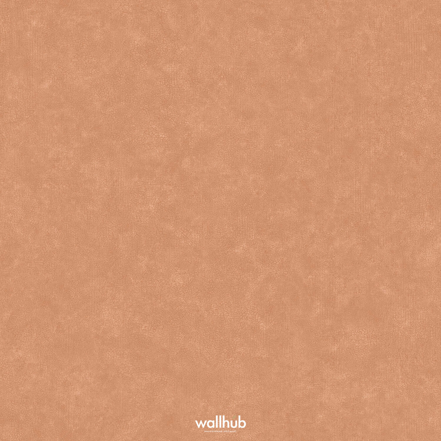 Wallhub Caselio Ceramique_105243030