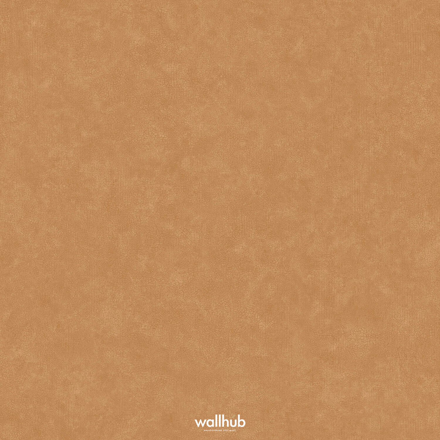 Wallhub Caselio Ceramique_105243148