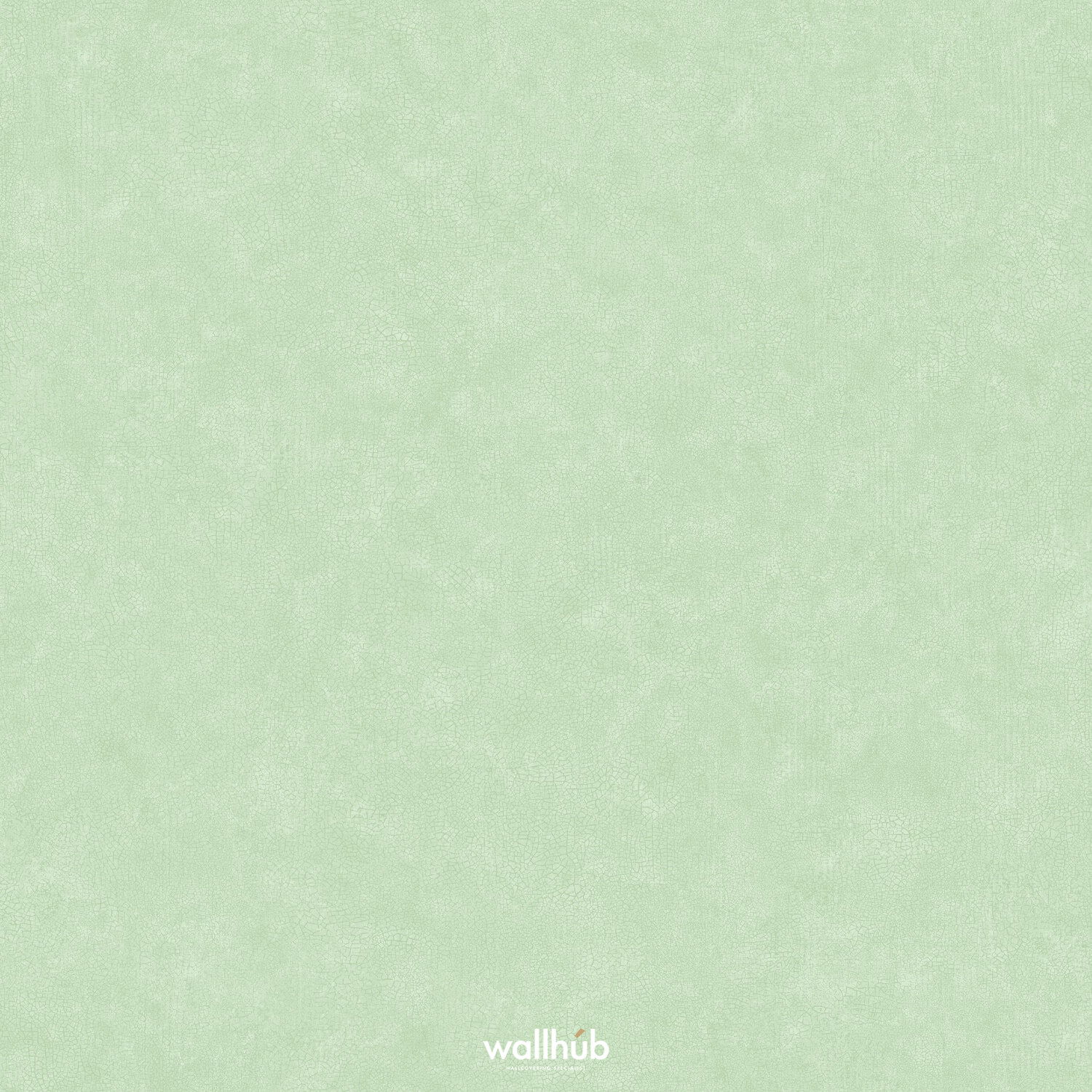 Wallhub Caselio Ceramique_105247499