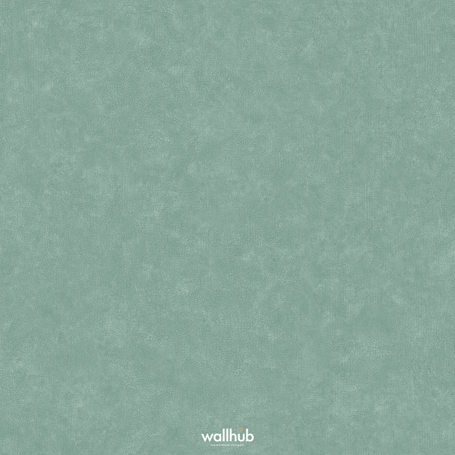 Wallhub Caselio Ceramique_105247670