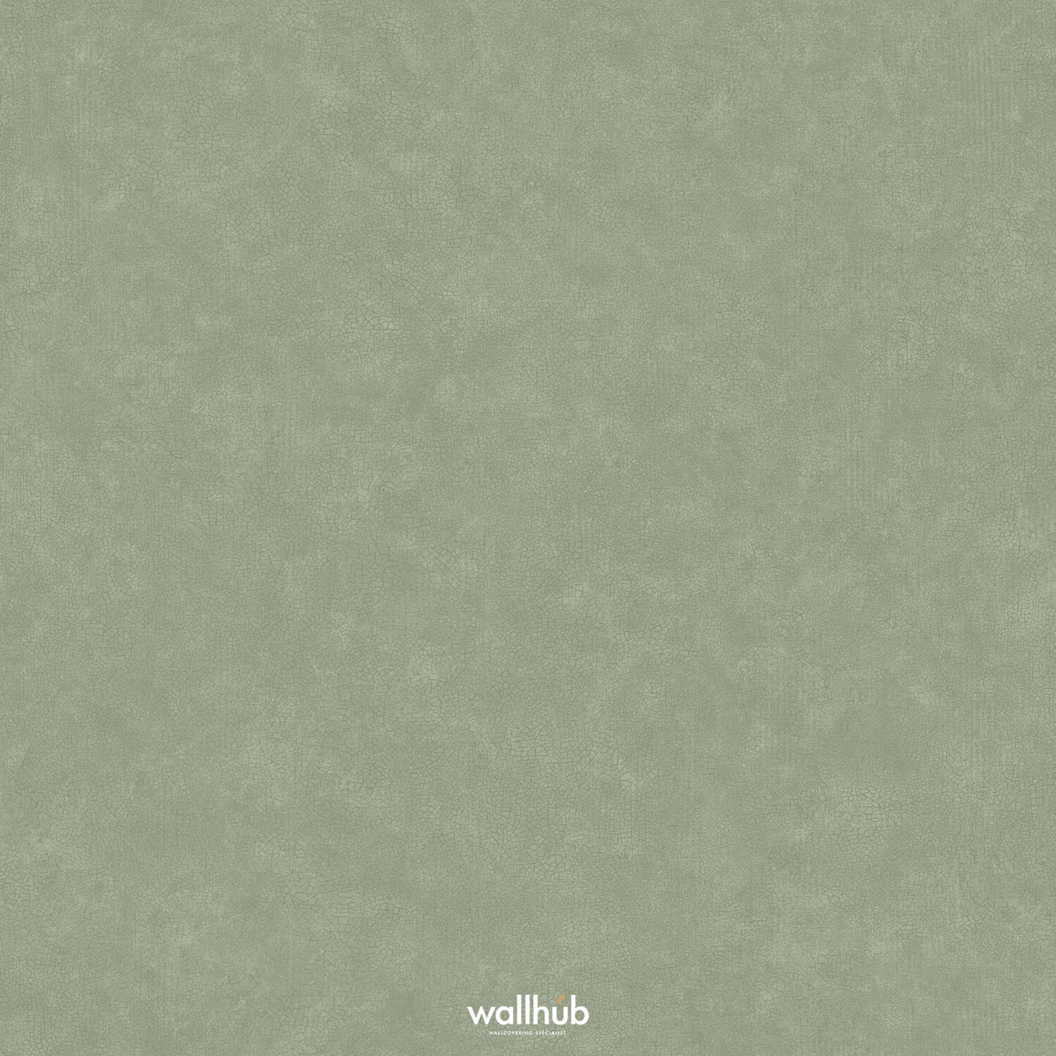Wallhub Caselio Ceramique_105247740