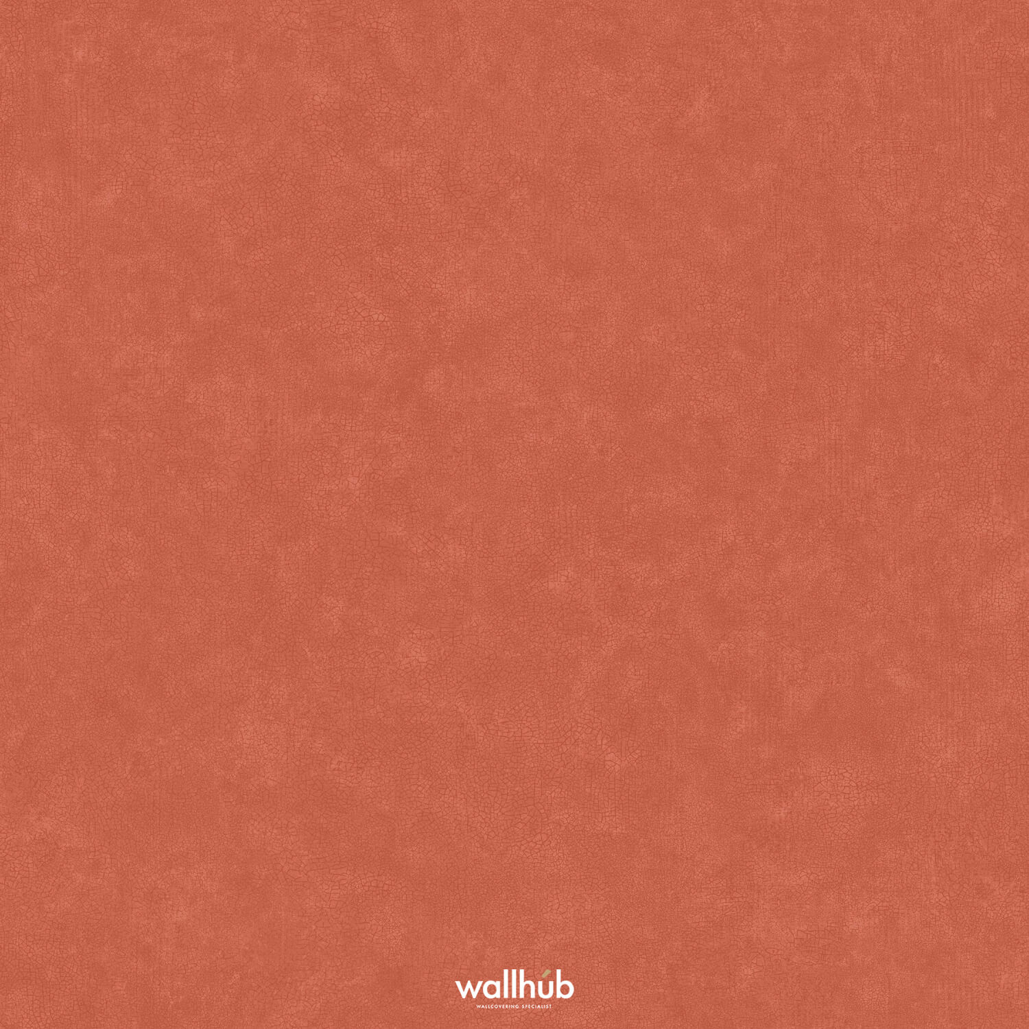 Wallhub Caselio Ceramique_105248009
