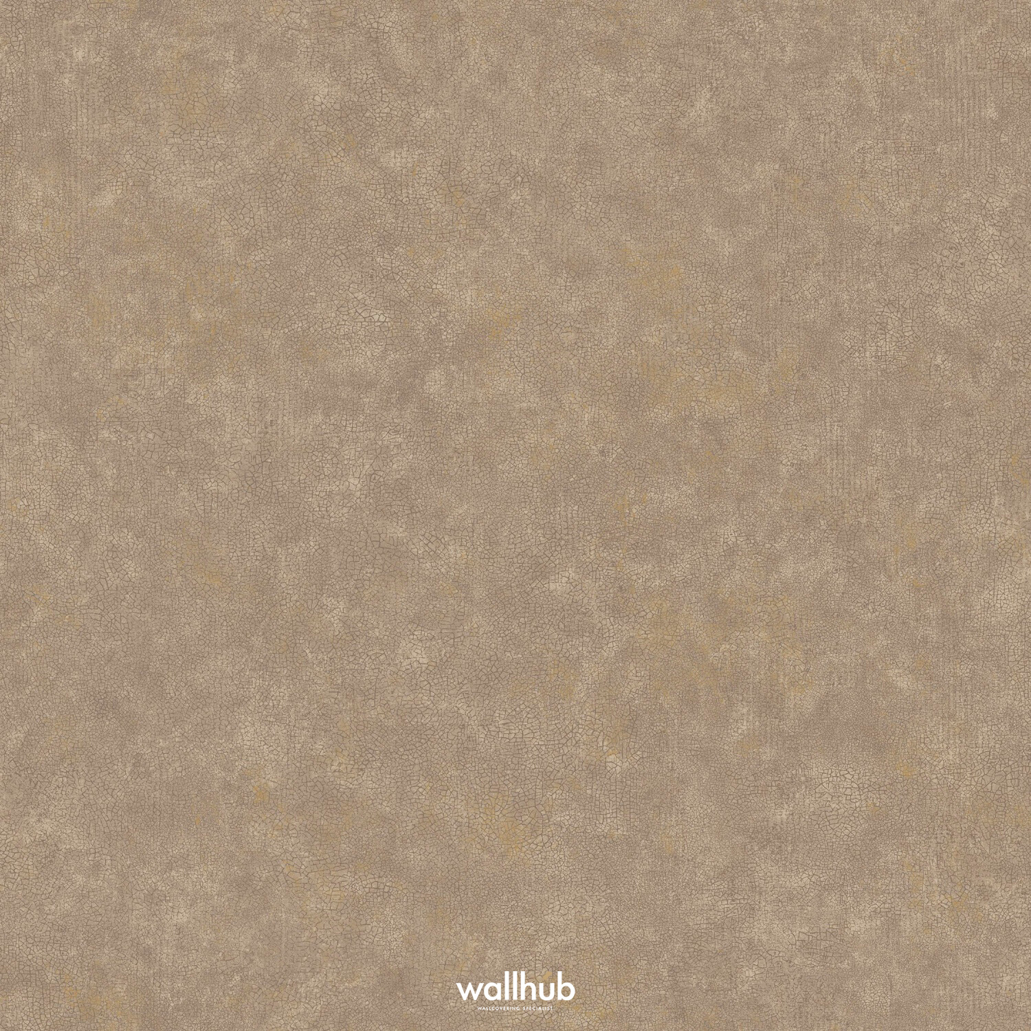 Wallhub Caselio Ceramique_105252120
