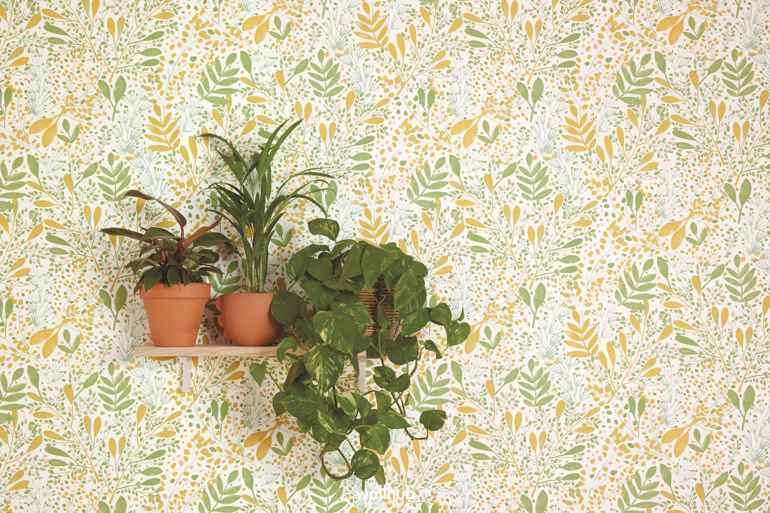 Wallhub Caselio Greenlife_II_COUV_2