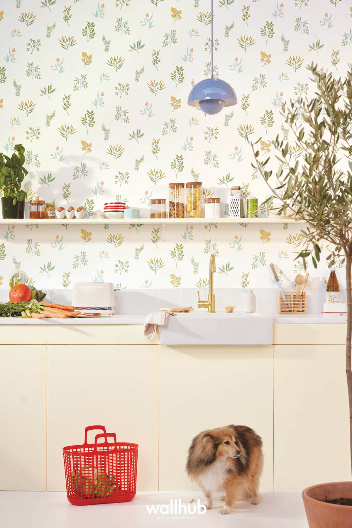 Wallhub Caselio Greenlife_II_DOG_LUCK_105370251