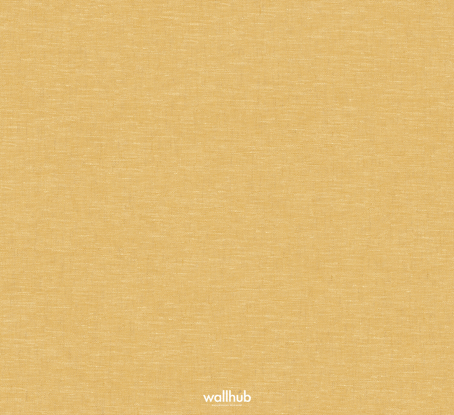 Wallhub Masureel JOY306