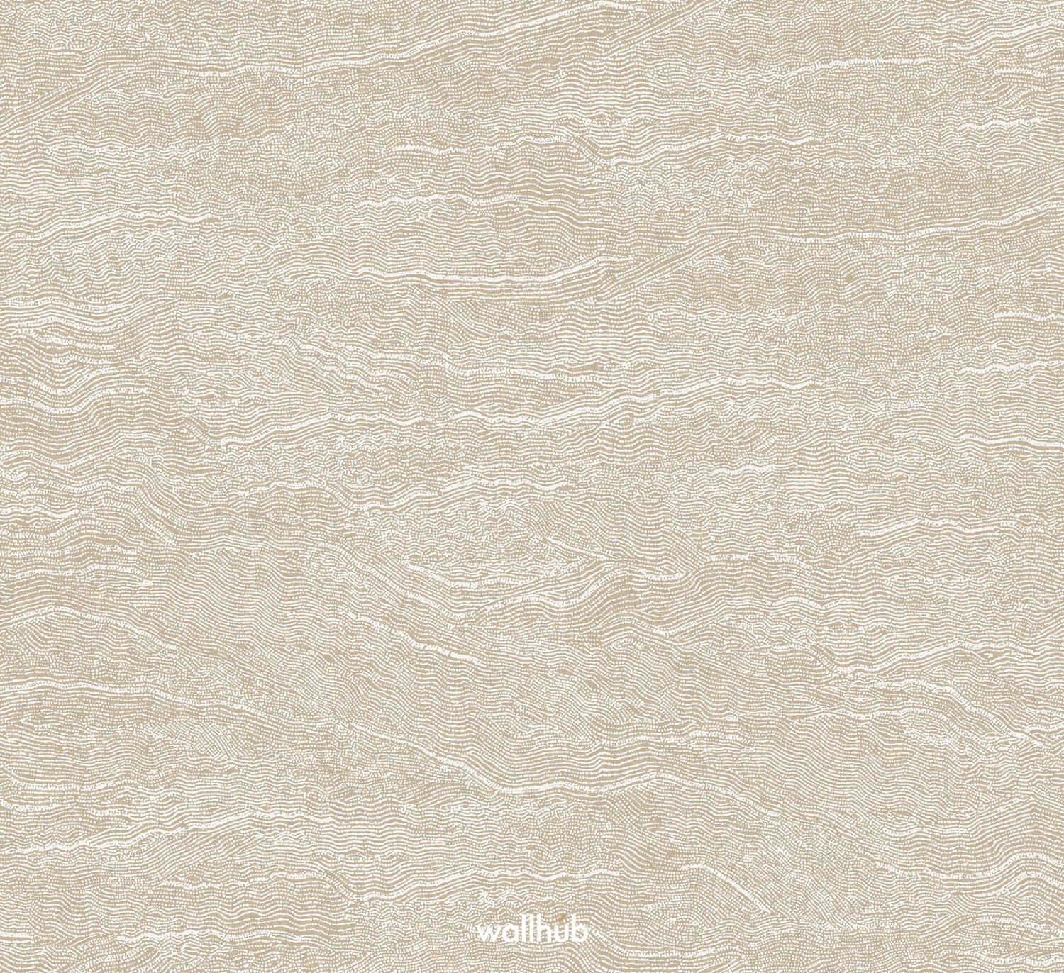 Wallhub Masureel Terra TER008