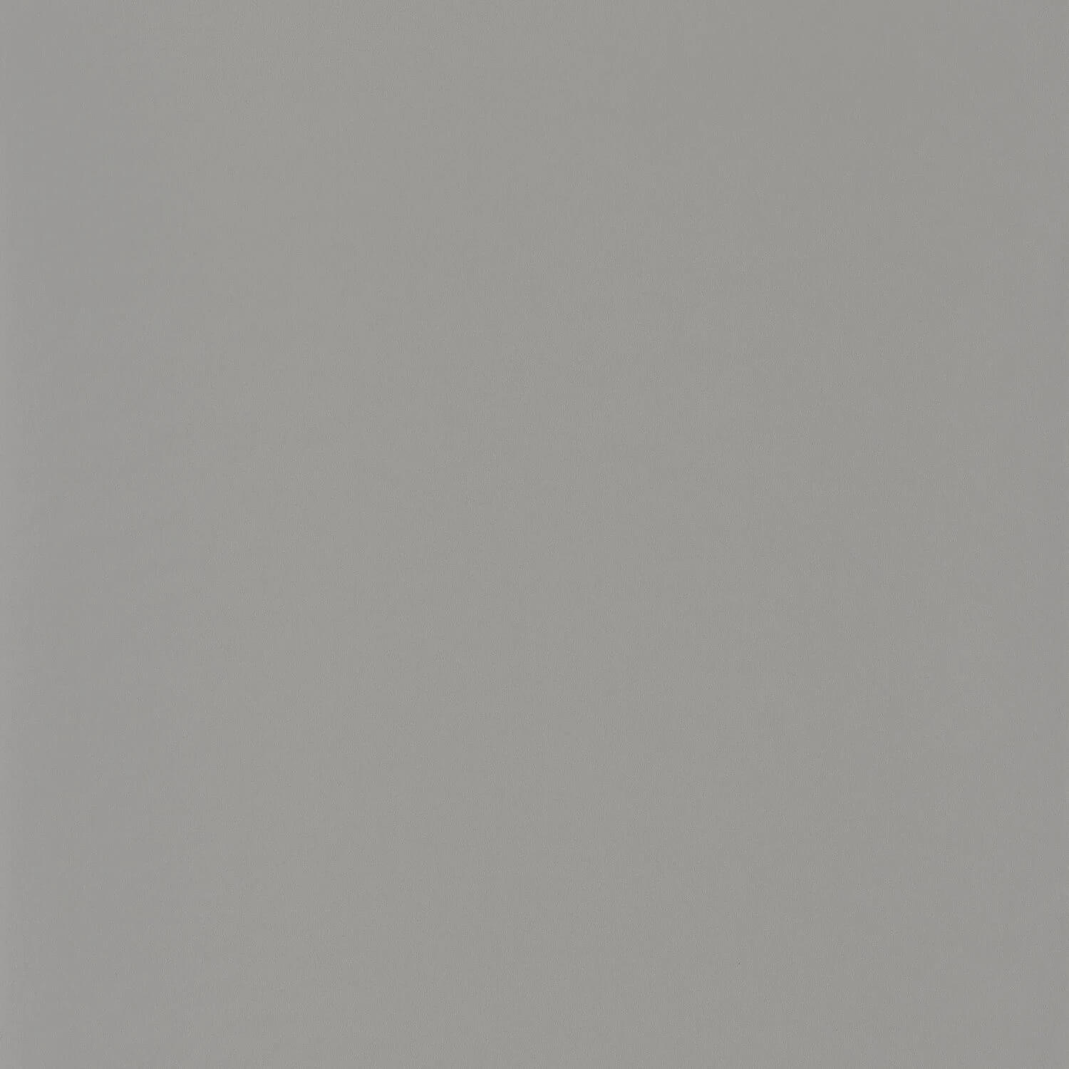 Wallhub CS-OU2-104492