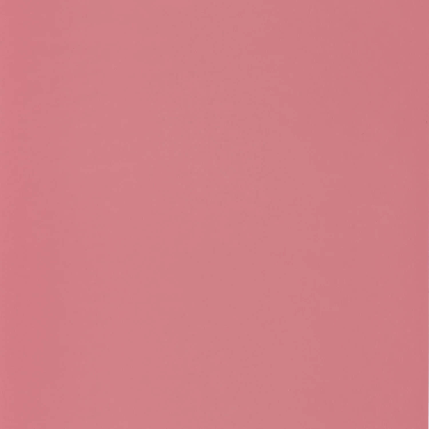 Wallhub CS-OU2-104494