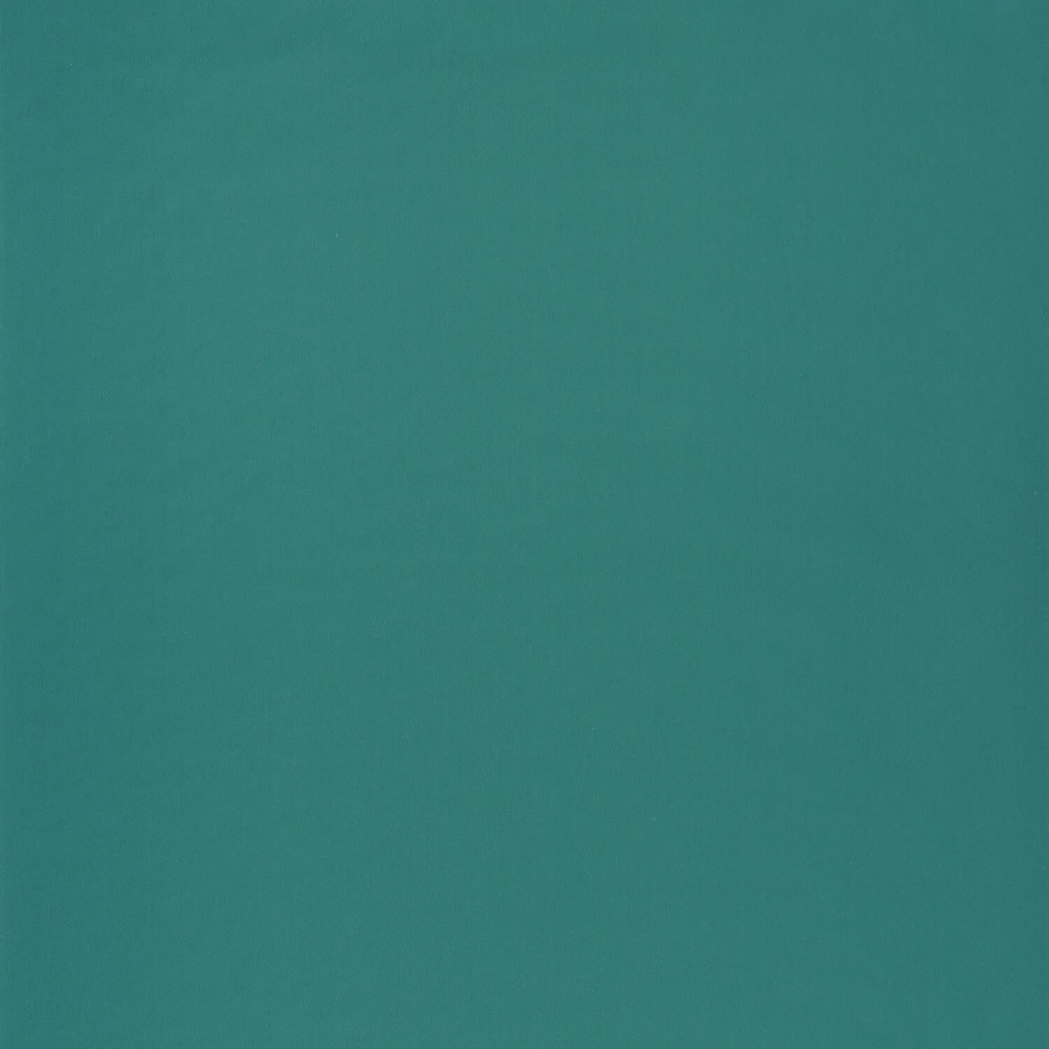 Wallhub CS-OU2-104495