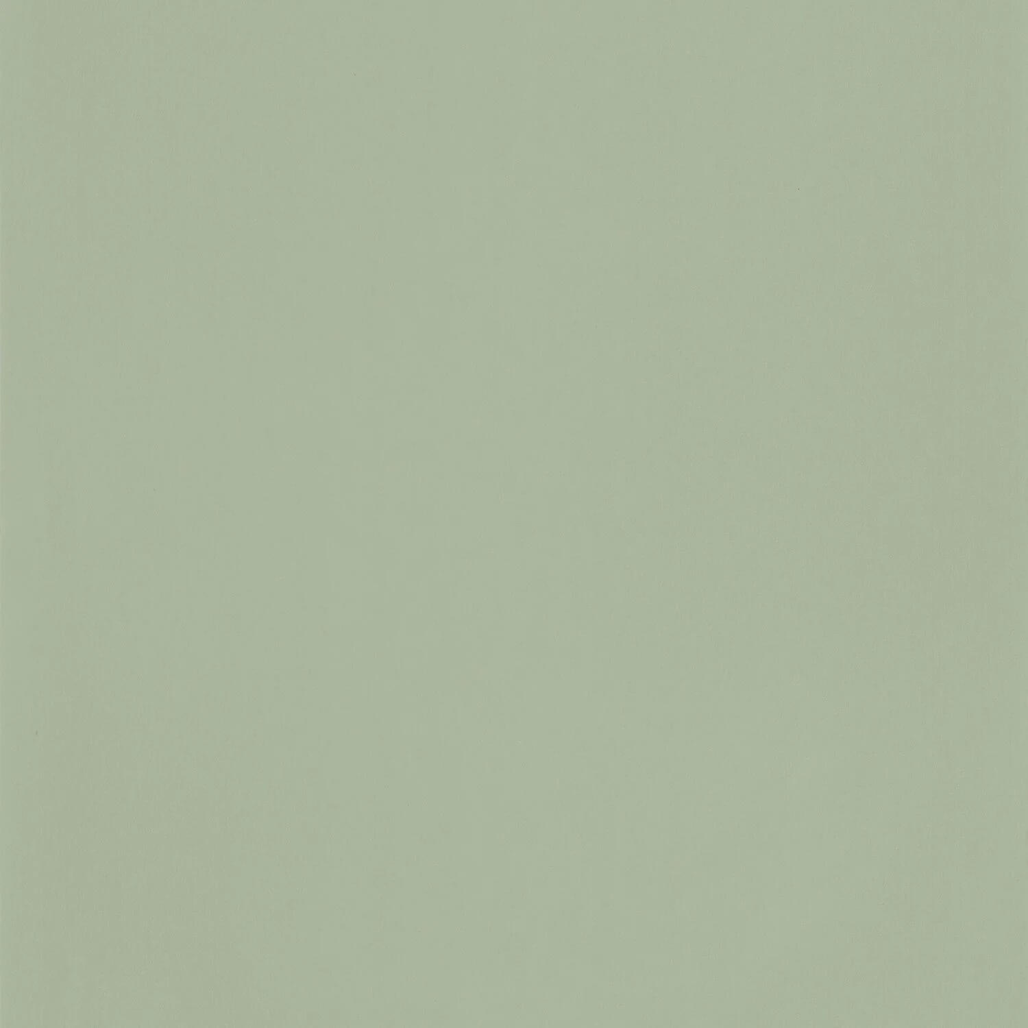 Wallhub CS-OU2-131384