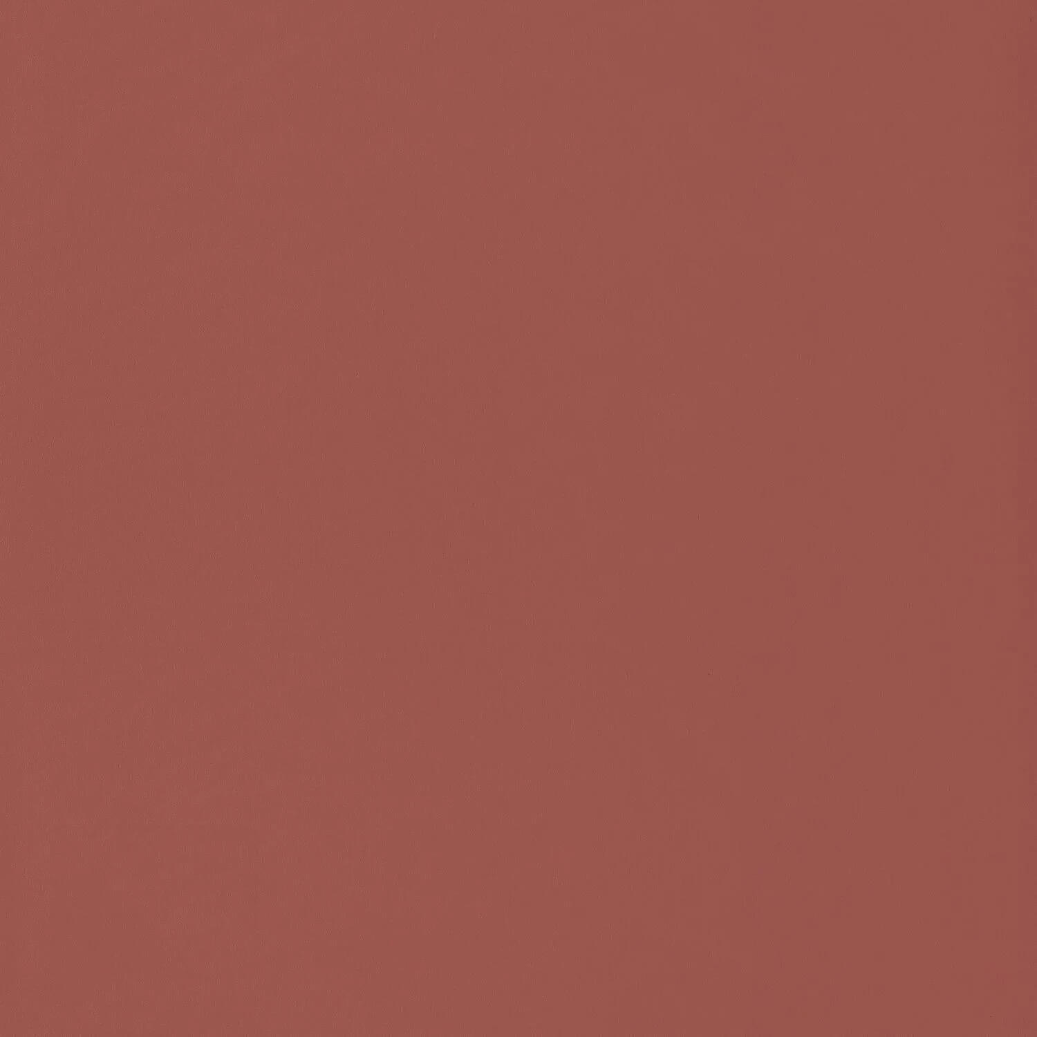 Wallhub CS-OU2-99472