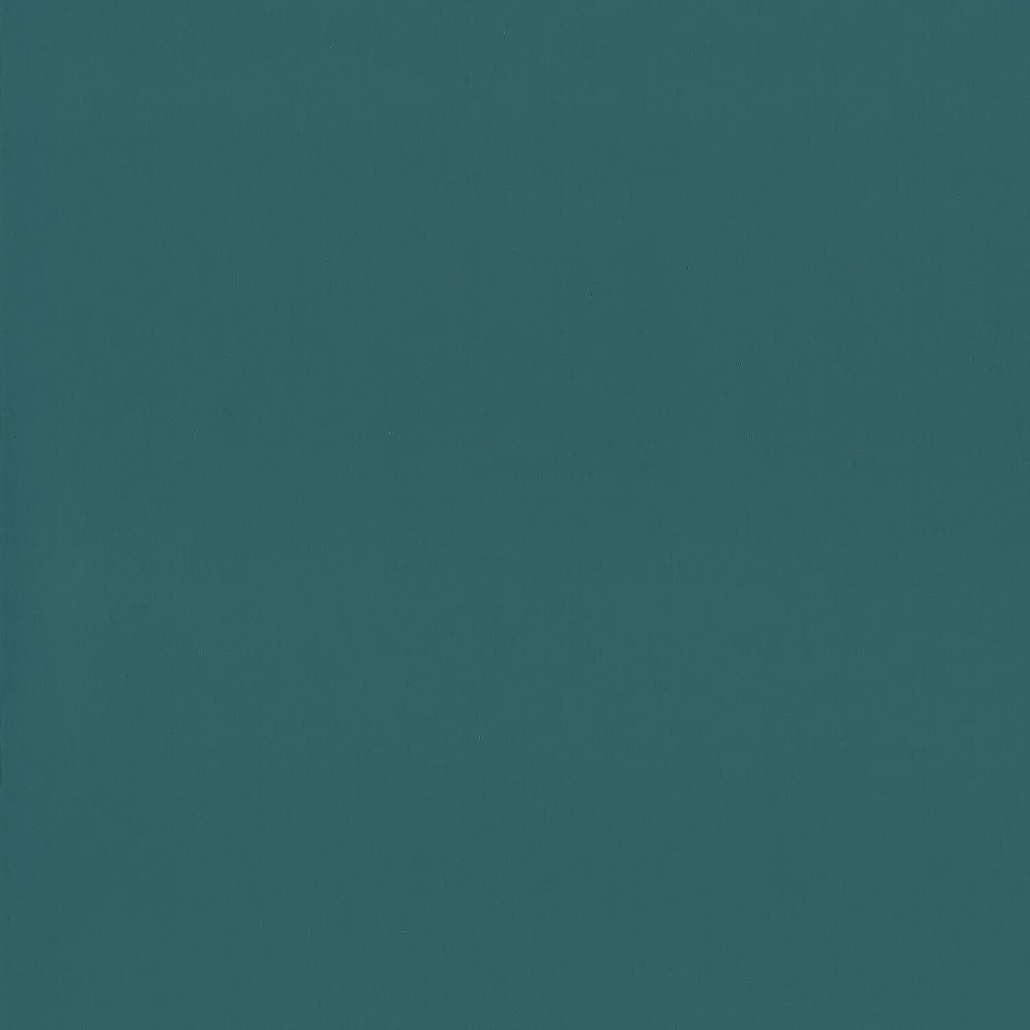 Wallhub CS-OU2-99984