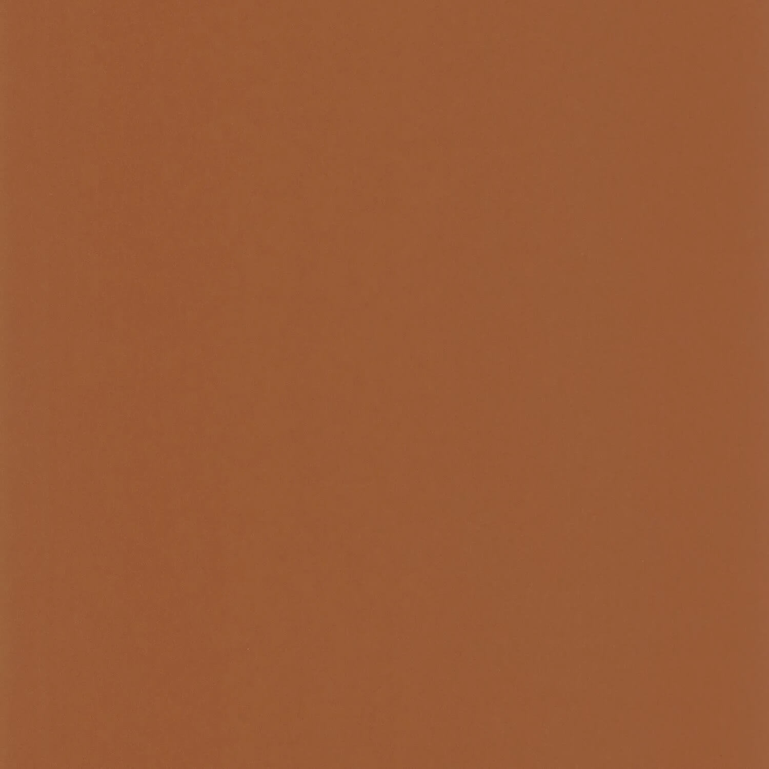 Wallhub CS-SF-174496