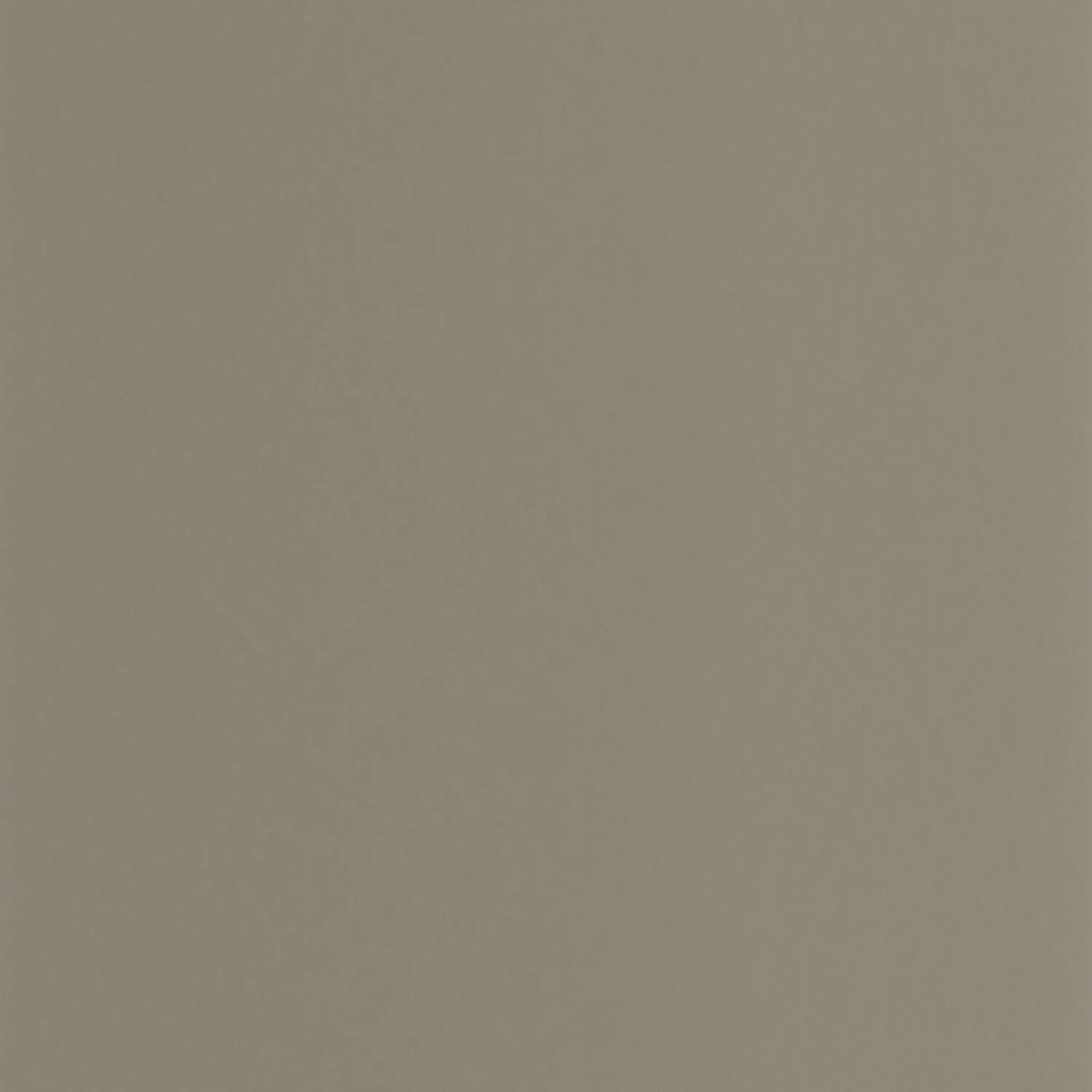 Wallhub CS-SF-174938