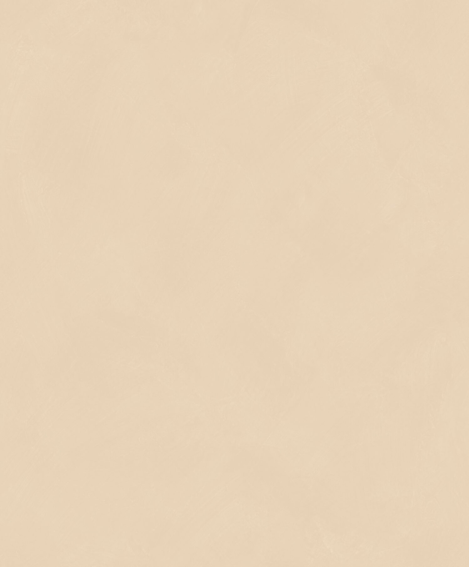 Wallhub Caselio Origine-106081244