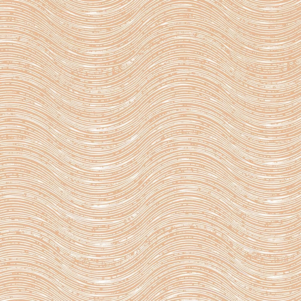 Wallhub HB-CR 65520 01