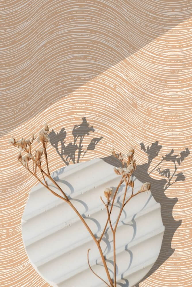 Wallhub HB-CR 65520 02jpg