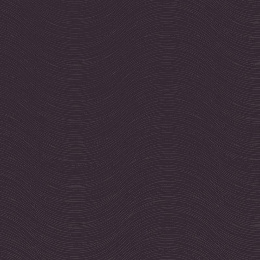 Wallhub HB-CR 65570 01