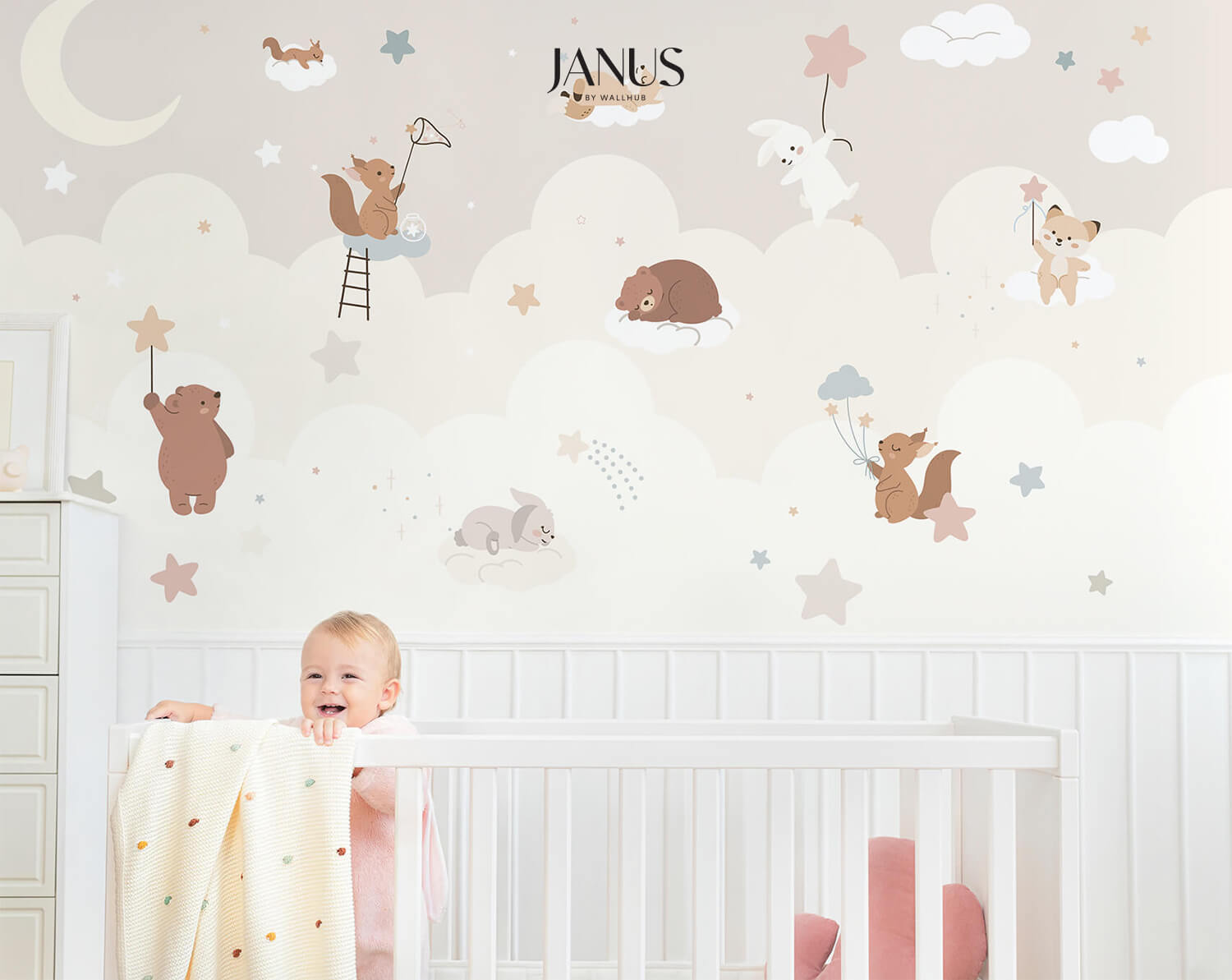 Wallhub-Janus-Mural-Wallpaper-Cloudland-DC