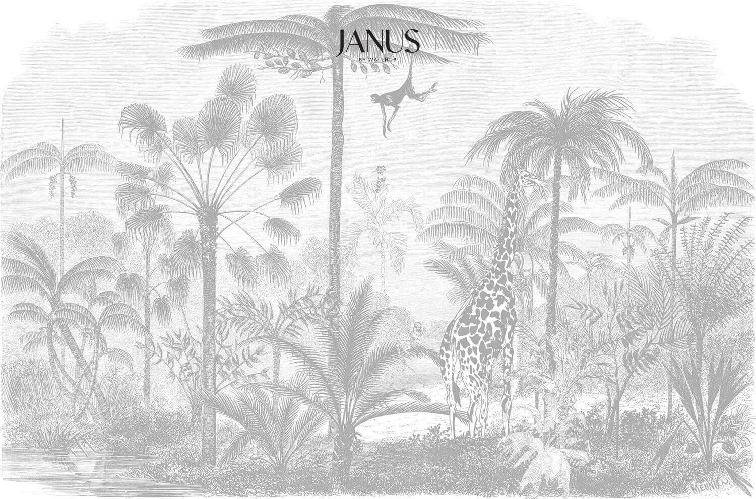 Wallhub-Janus-Mural-Wallpaper-La-Amazone