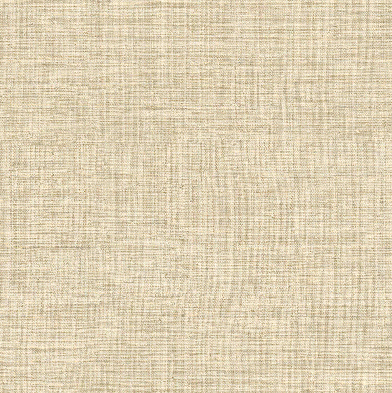 Wallhub-Trussardi-7-Z18944