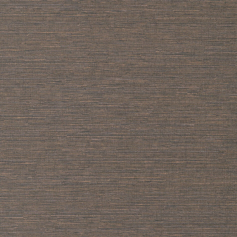 Wallhub-Masureel-serica-hpcsis0004-1