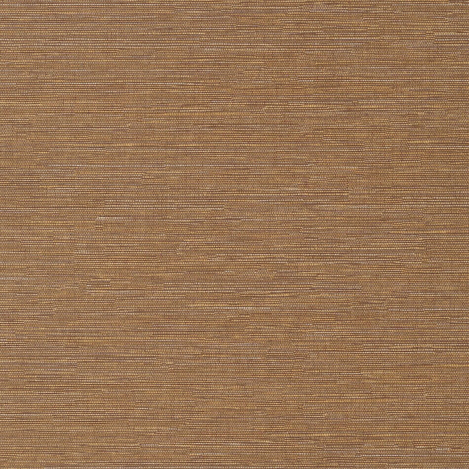 Wallhub-Masureel-serica-hpcsis0008-1