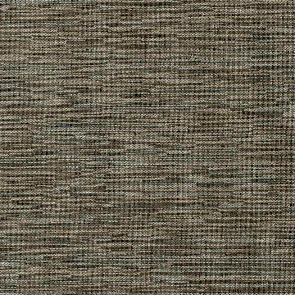 Wallhub-Masureel-serica-hpcsis0009-1