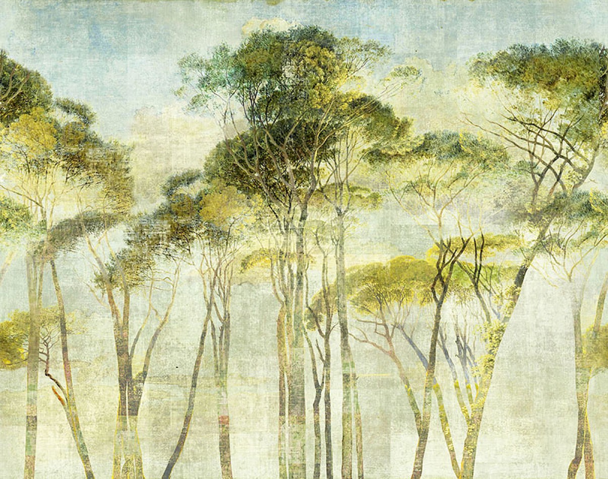 Wallhub-Masureel-Panoramics-dg2hym101-1