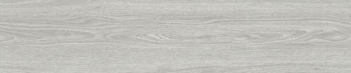 Beauty Snow CC443A