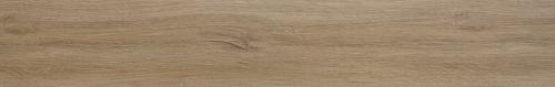 Euro Oak CC242