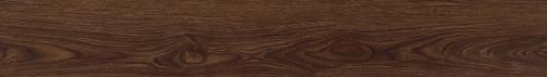 Summer Oak CC422